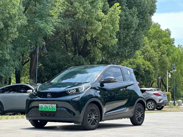 QQ New Energy Little Ant 2024 321km Favorite Edition