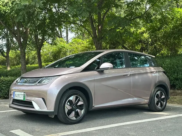 BYD Dolphin 2025 420km Freedom Edition