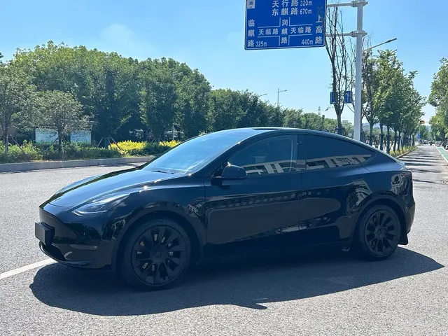 Tesla Model Y 2021 Standard Range Rear-Wheel Drive
