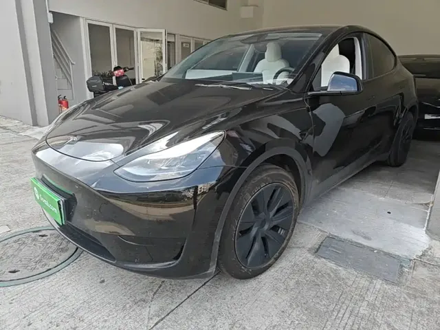 Tesla Model Y 2024 Rear-Wheel Drive Version