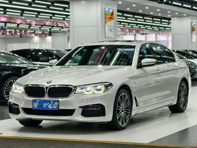 BMW 5 Series 2019 530Li Premium M Sport Package