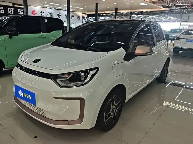 Sehol Flower Fairy 2021 302km Fashion Edition 31.4kWh