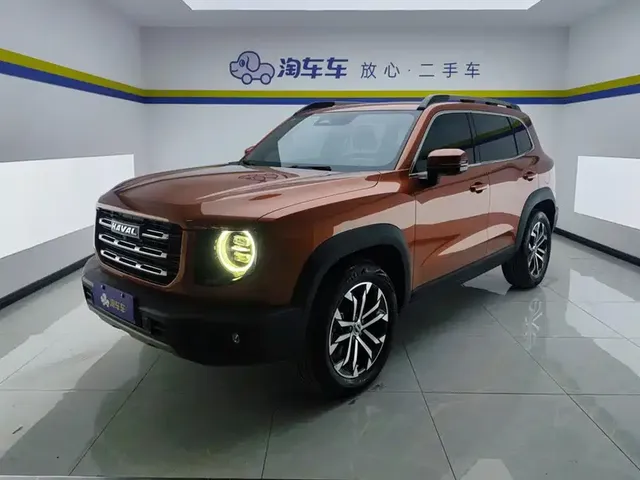 Haval Big Dog 2021 1.5T DCT 2WD Border Collie Edition