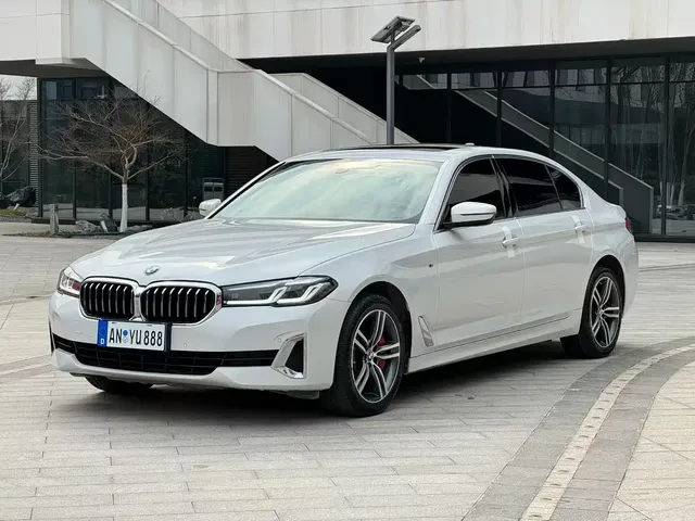 BMW 5 Series 2021 530Li Leading Luxury Package