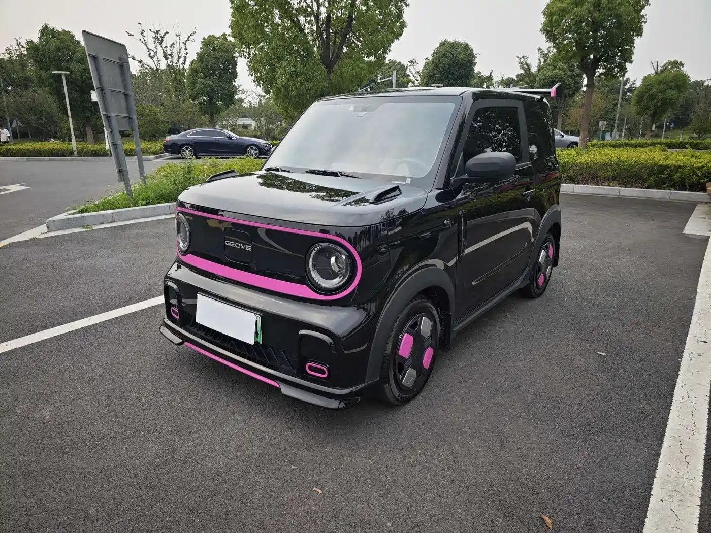 Geely Galaxy Panda 2025 Model Year 210km Panda Kart