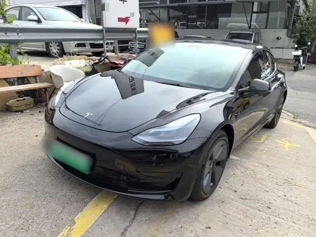 Tesla Model 3 2021 Standard Range Rear-Wheel Drive Upgrade 3D6