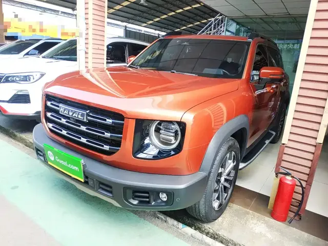 Haval Big Dog 2021 1.5T DCT 2WD Border Collie Edition
