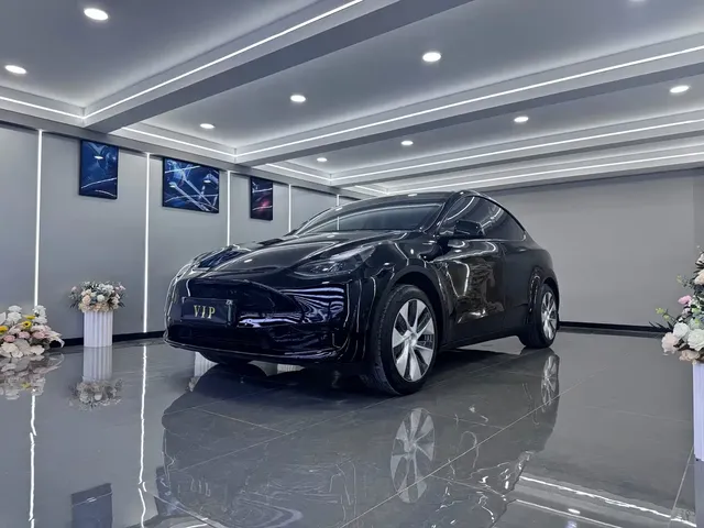 Tesla Model Y 2022 Rear-Wheel Drive Version