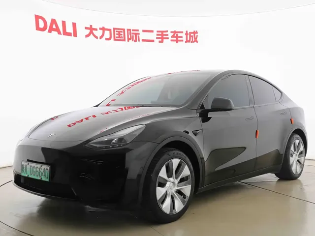 Tesla Model Y 2022 Rear-Wheel Drive Version