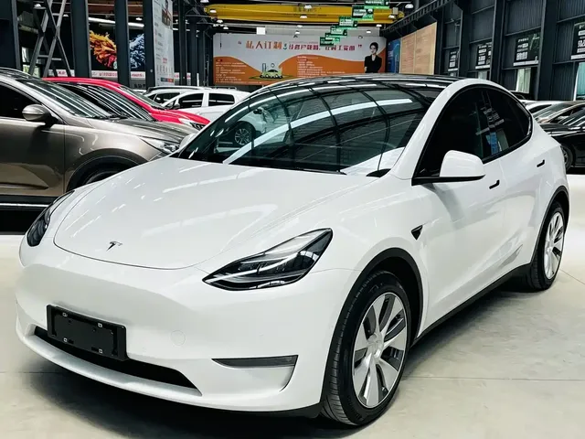Tesla Model Y 2021 Standard Range Rear-Wheel Drive