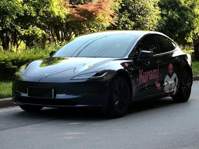Tesla Model 3 2025 Model Rear-Wheel Drive Edition