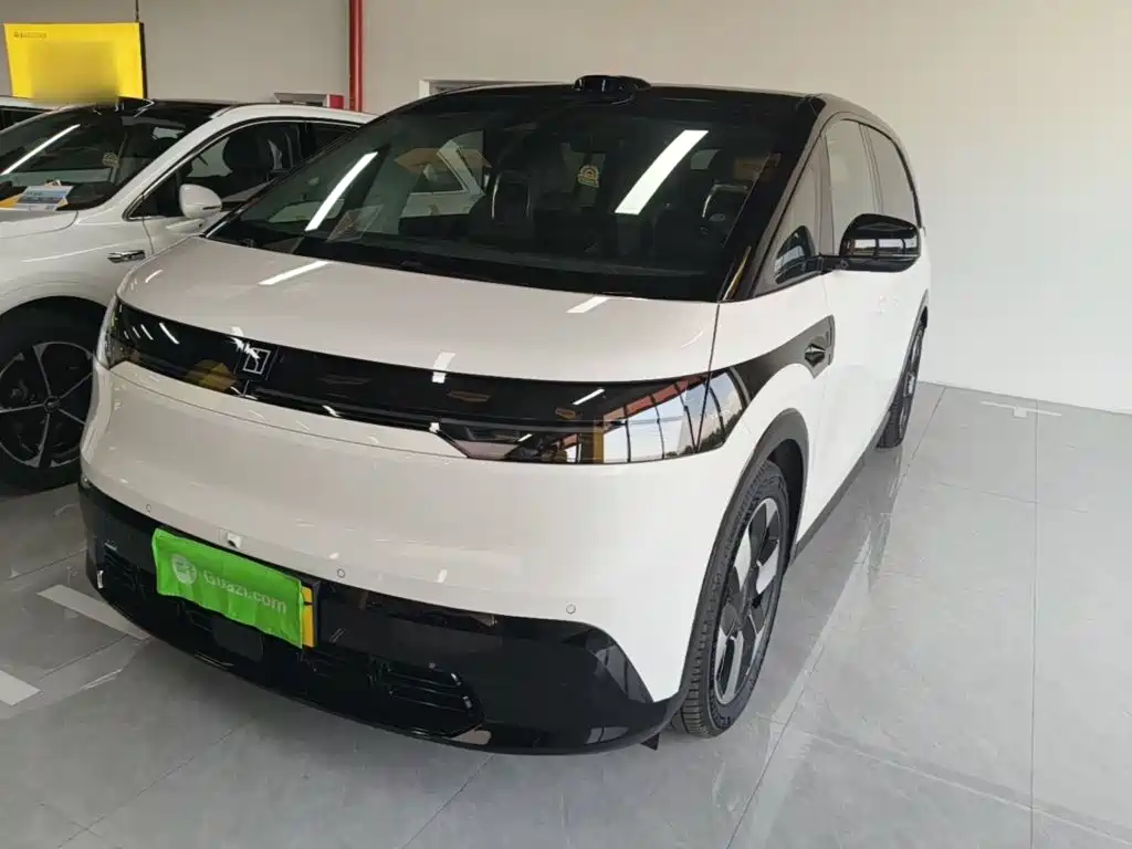 ZEEKR MIX 2025 Smart Driving Edition