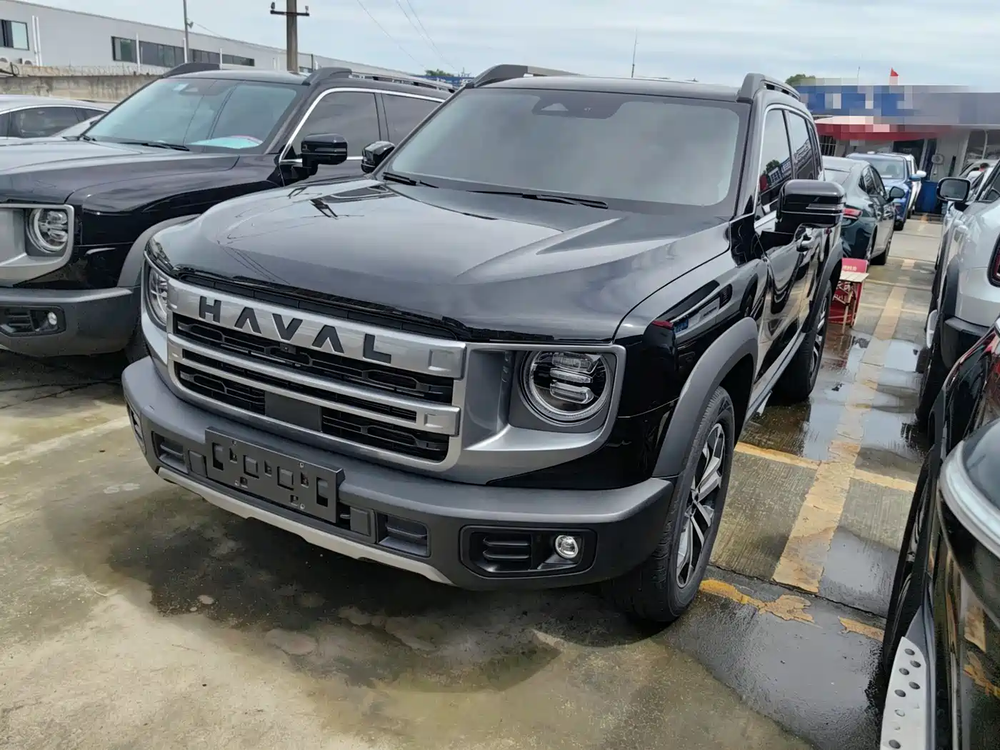 Haval Big Dog 2024 1.5T DCT Border Collie Edition