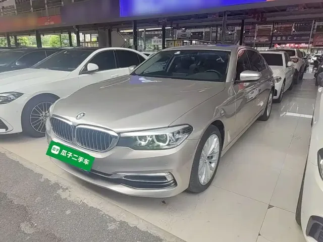 BMW 5 Series 2019 530Li Leading Luxury Package