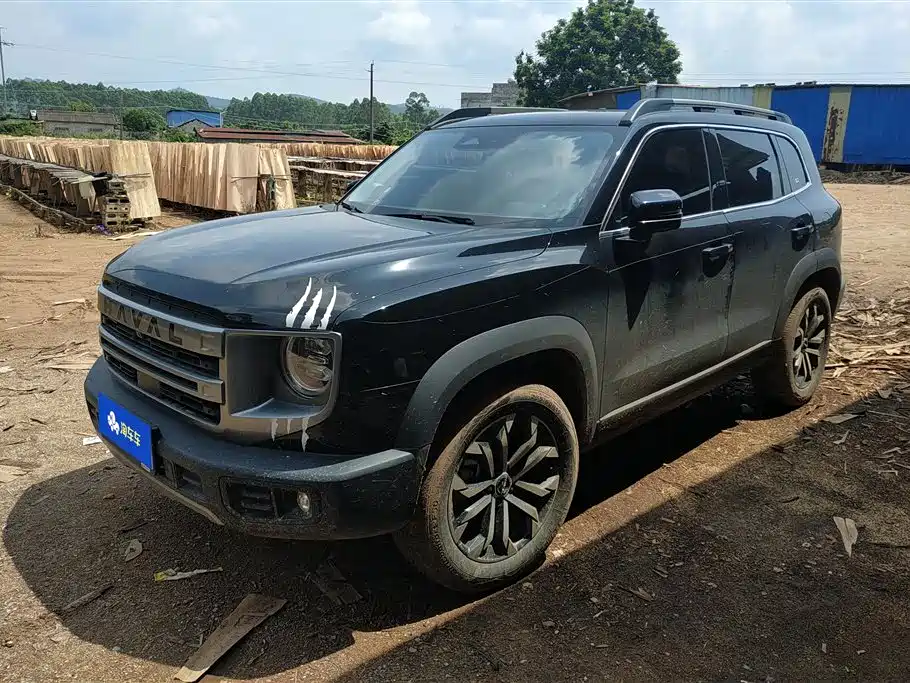 Haval Big Dog 2024 1.5T DCT Border Collie Edition