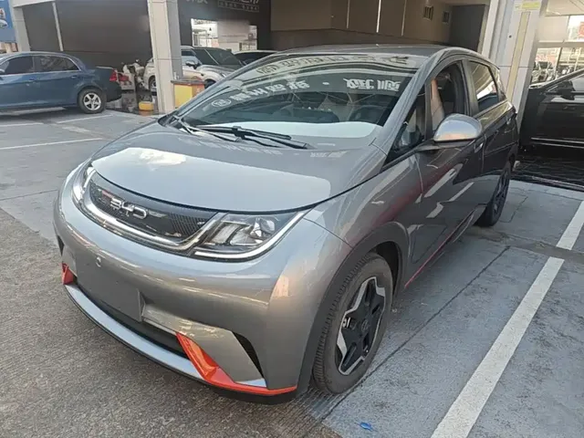 BYD Dolphin 2021 405km Freedom Edition