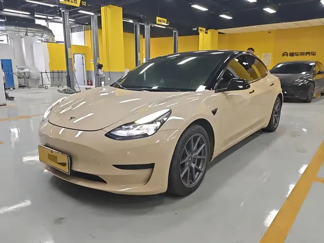 Tesla Model 3 2021 Standard Range Rear-Wheel Drive Upgrade 3D6