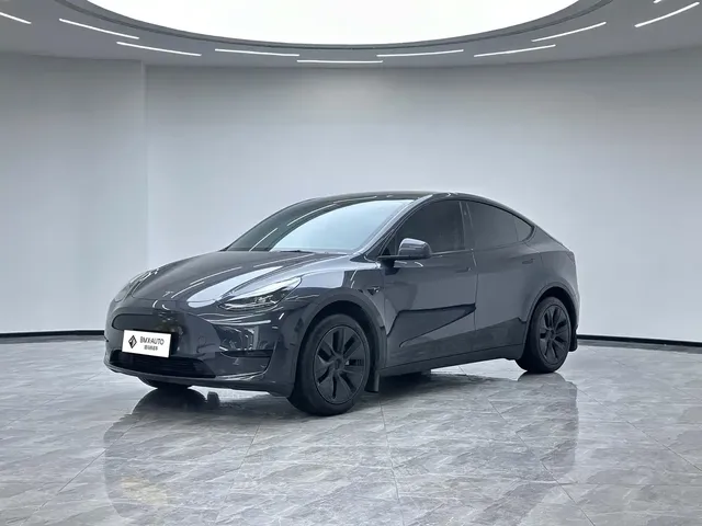 Tesla Model Y 2024 Rear-Wheel Drive Version