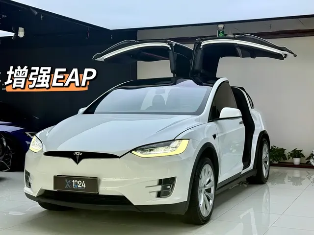 Tesla Model X 2020 Long Range Upgrade