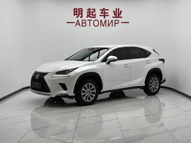 Lexus NX 2020 200 FWD Fengyi Edition China VI