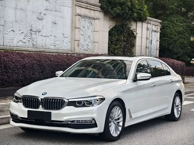 BMW 5 Series 2019 530Li Leading Luxury Package