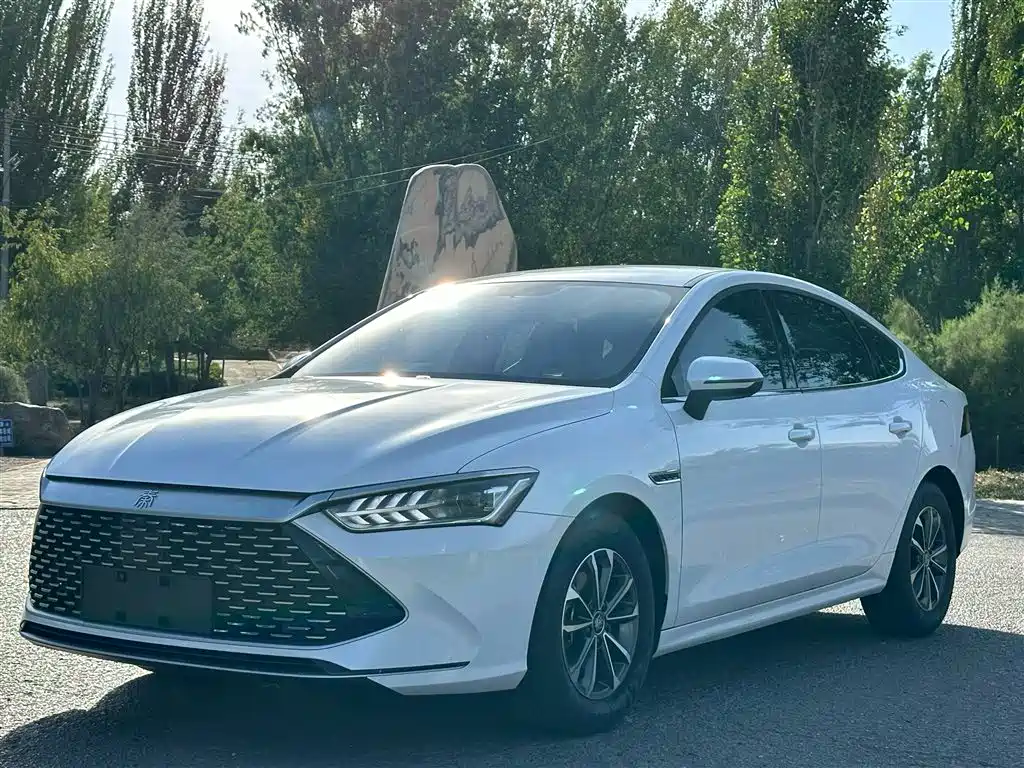BYD Qin PLUS 2023 Champion Edition DM-i 55KM Leading