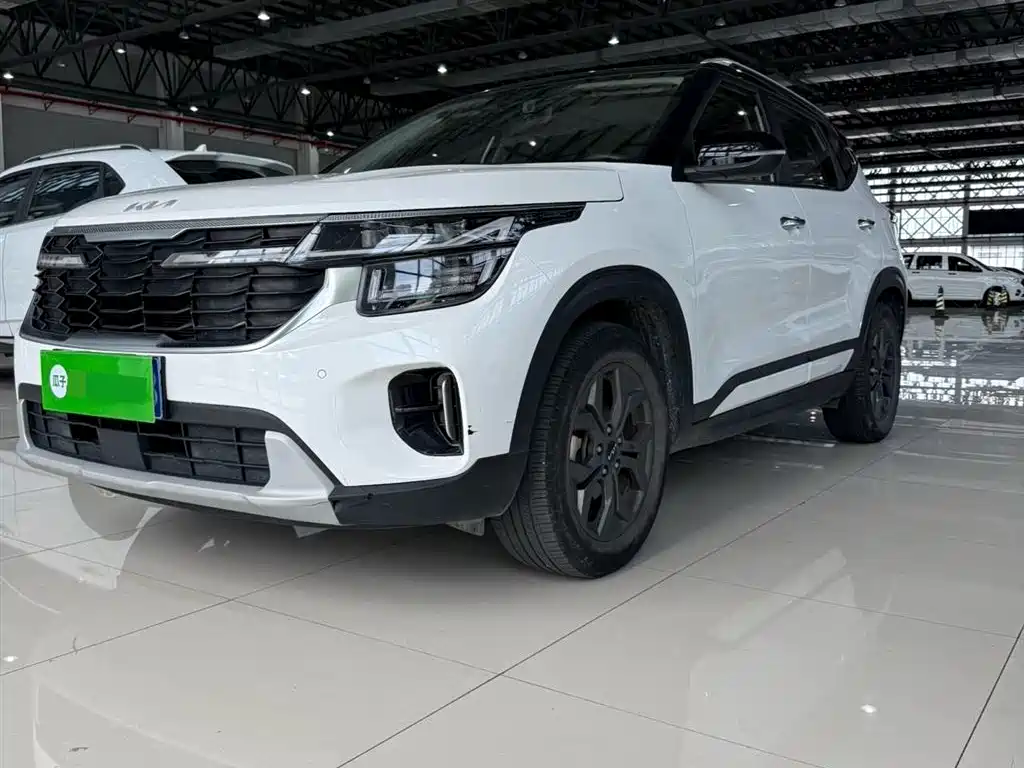 Kia Seltos 2023 1.5L CVT Luxury Edition
