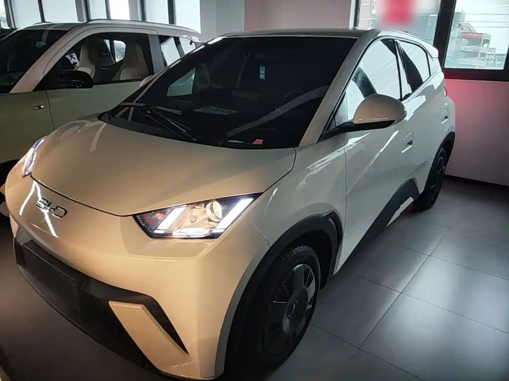 BYD Seagull 2025 305km Vitality