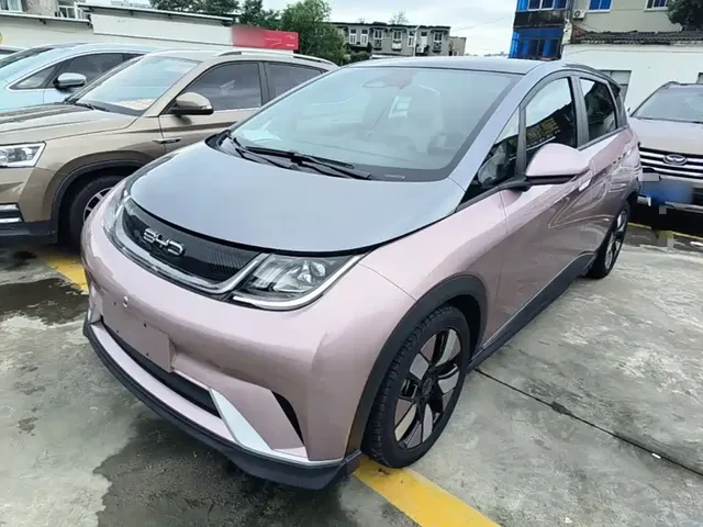 BYD Dolphin 2021 401km Knight Edition