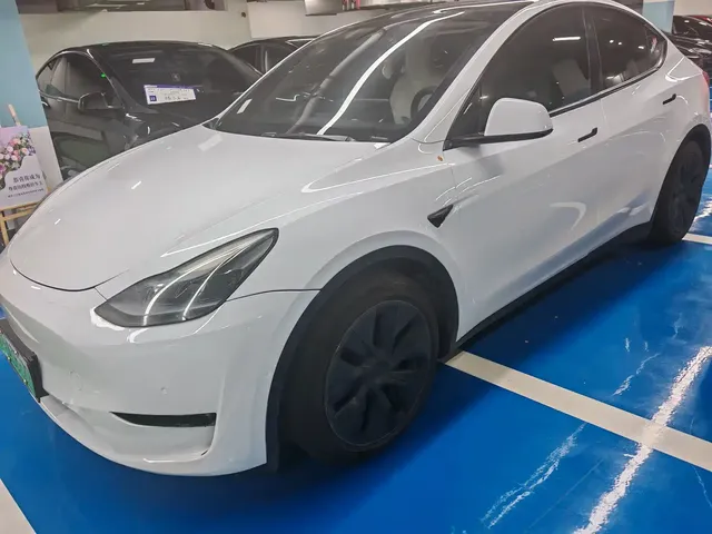 Tesla Model Y 2021 Standard Range Rear-Wheel Drive