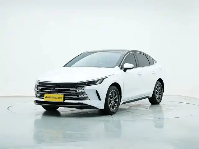 BYD Destroyer 05 2024 Glory Edition DM-i 55KM Luxury