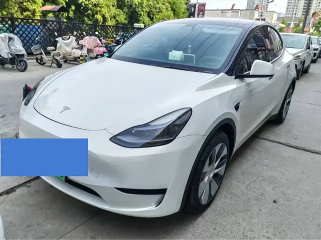 Tesla Model Y 2022 Rear-Wheel Drive Version