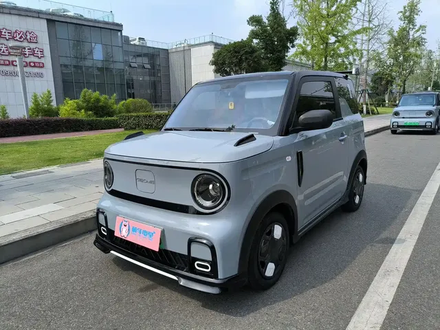Geely Galaxy Panda 2025 Model Year 210km Panda Kart