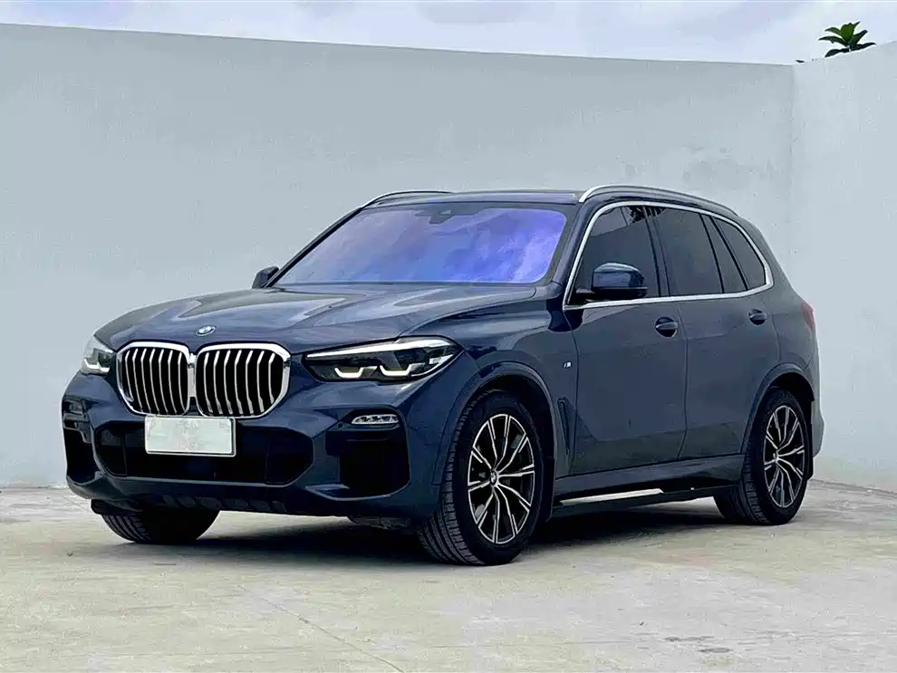 BMW X5 (Import) 2021 xDrive30i M Sport Package