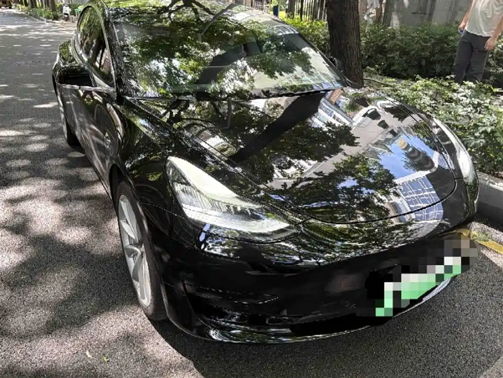 Tesla Model 3 2019 Standard Range Rear-Wheel Drive Upgrade