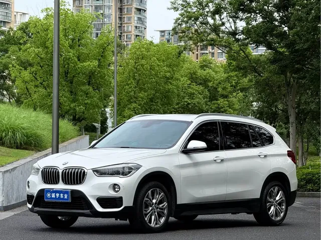 BMW X1 2018 sDrive20Li Leading Model