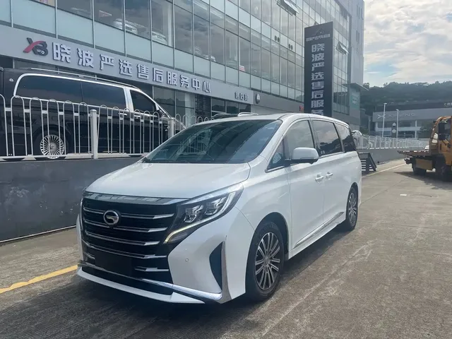 GAC Trumpchi M8 2020 390T Premium
