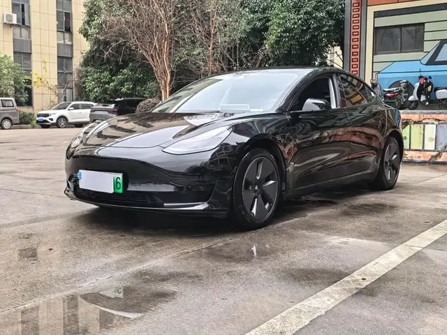Tesla Model 3 2022 Model Rear-Wheel Drive Version