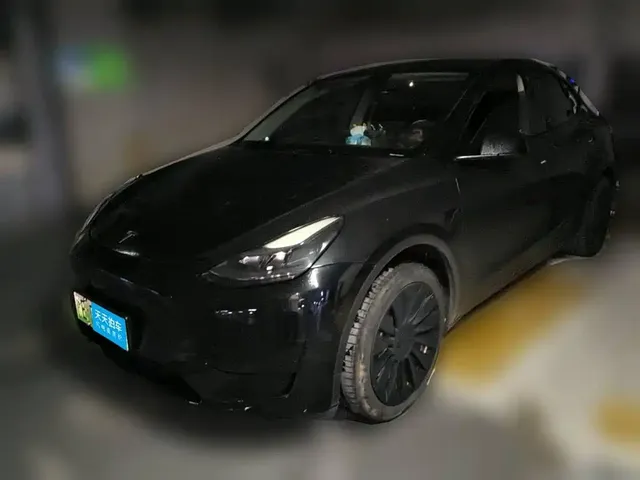 Tesla Model Y 2022 Rear-Wheel Drive Version