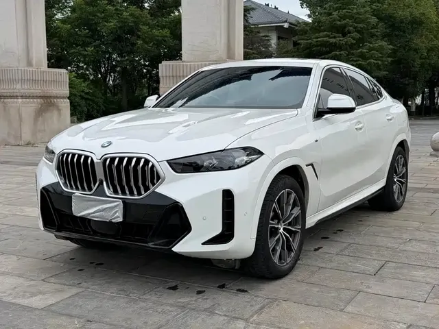 BMW X6 2023 xDrive30i M Sport Package