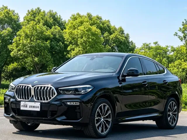 BMW X6 2021 xDrive30i M Sport Package