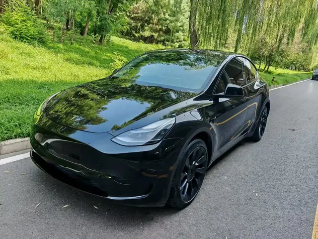 Tesla Model Y 2022 Rear-Wheel Drive Version