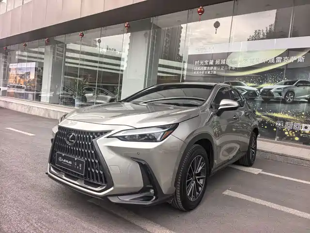 Lexus NX 2024 260 FWD Joy Creation Edition