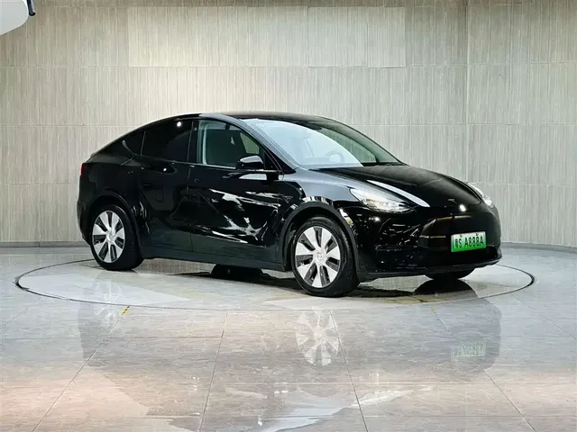 Tesla Model Y 2021 Standard Range Rear-Wheel Drive