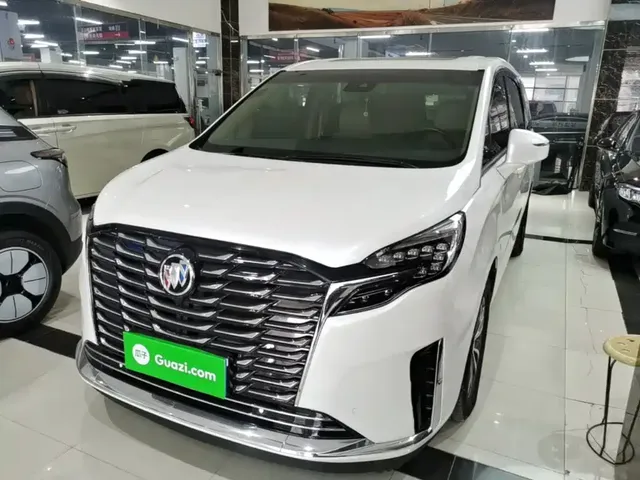 Buick GL8 2021 ES Landlord 653T Premium
