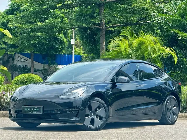 Tesla Model 3 2021 Standard Range Rear-Wheel Drive Upgrade