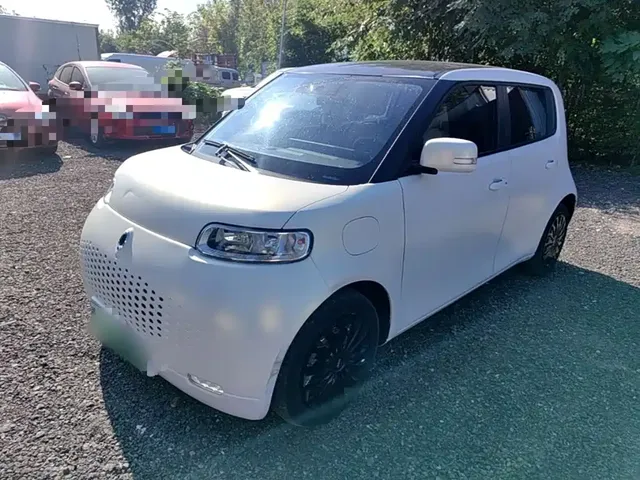Ora White Cat 2020 360km Luxury Model