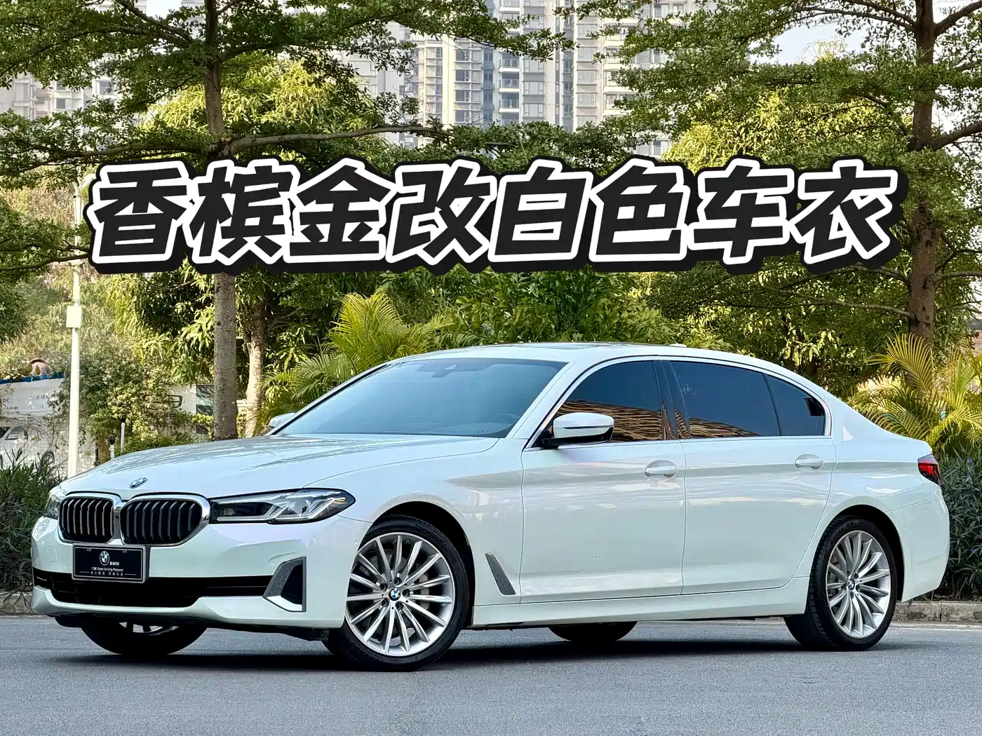 BMW 5 Series 2021 530Li Premium Luxury Package