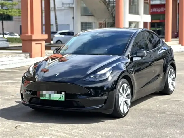 Tesla Model Y 2021 Standard Range Rear-Wheel Drive