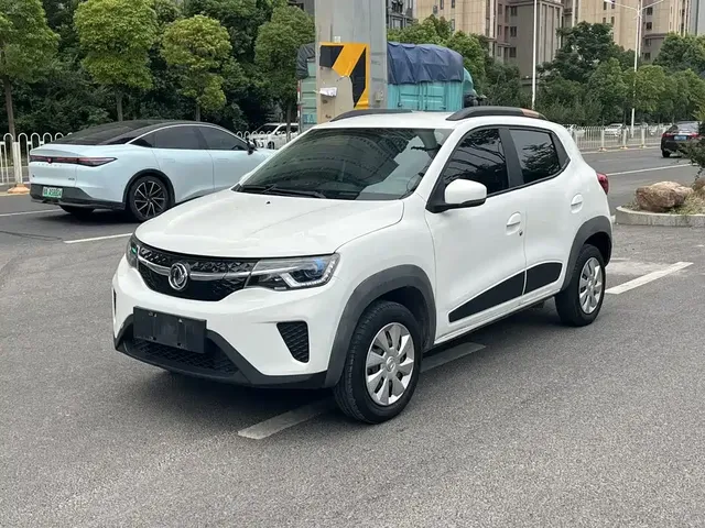 Dongfeng Yipai Dongfeng Nano EX1 2021 Quality Action Edition